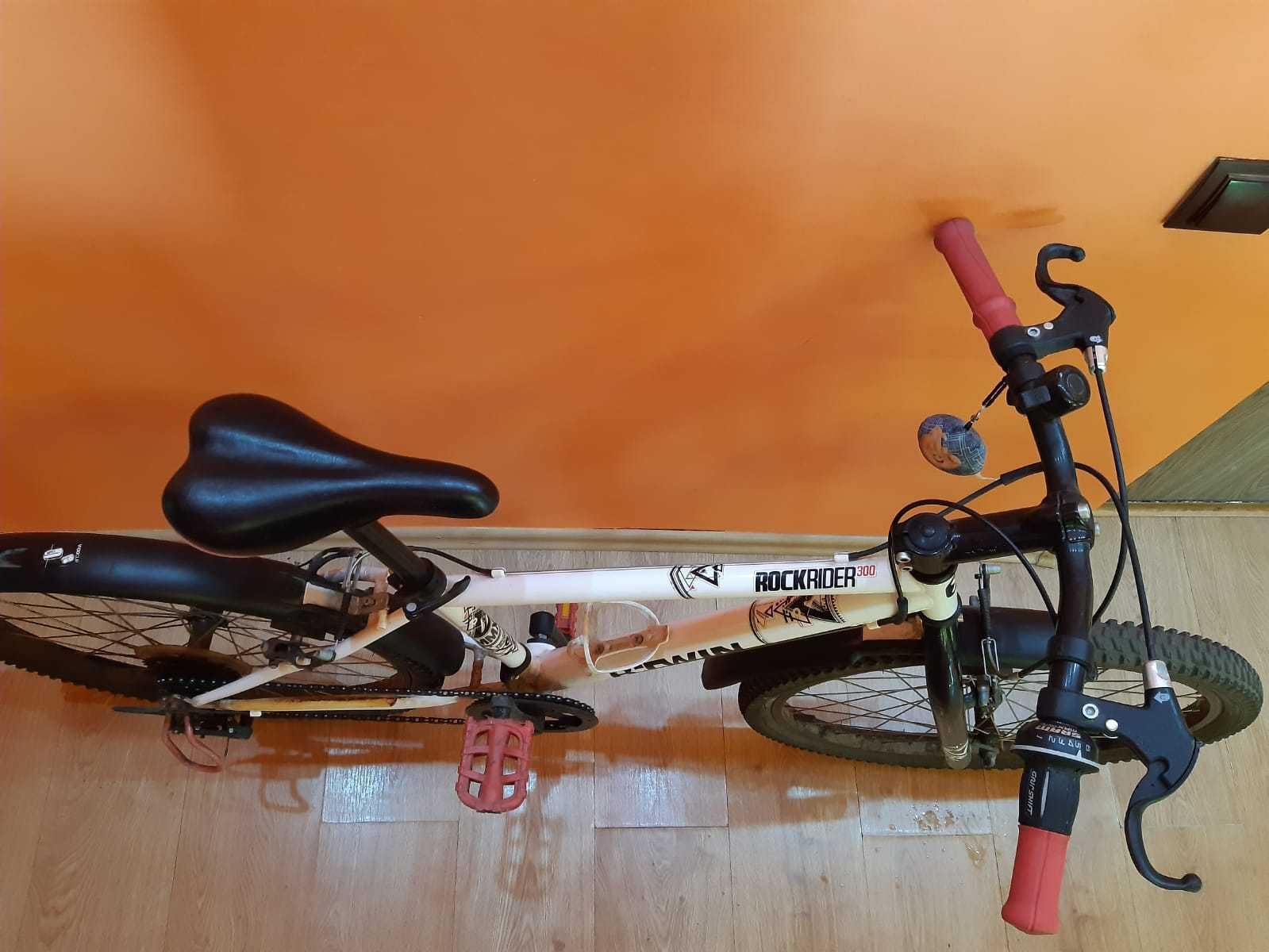 Bicicleta FIRST BIKE - pentru tineri