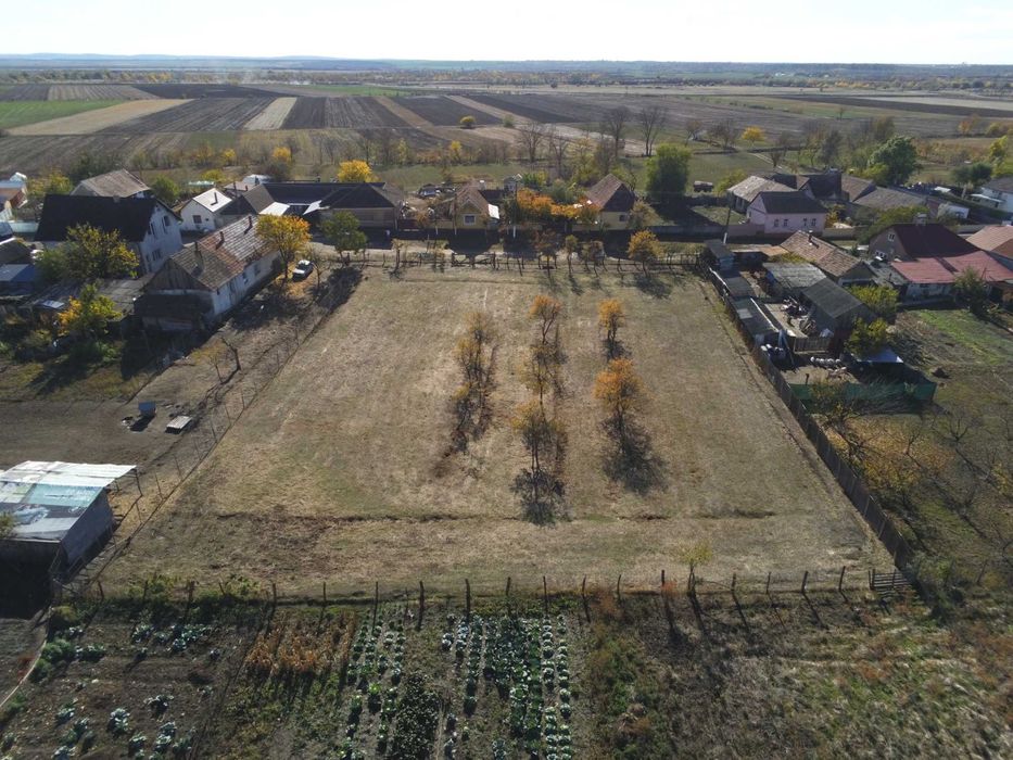 Persoana fizica, vand teren intravilan 3000mp Loc. Sambateni Jud. Arad