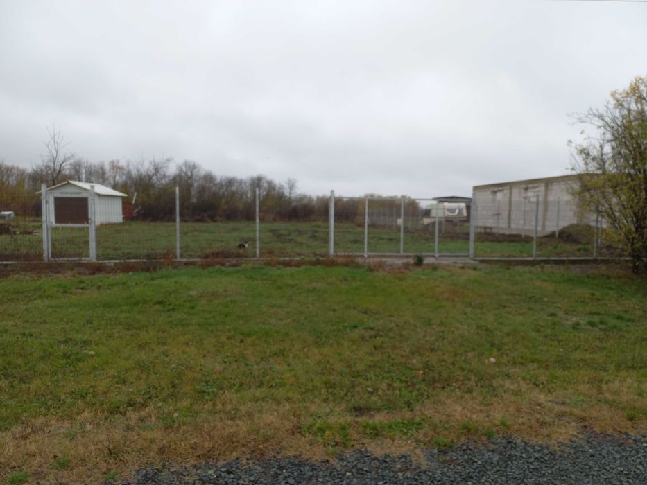 Teren intravilan intabulat, sat Icloda, com. Sacosu Turcesc, 1000 mp