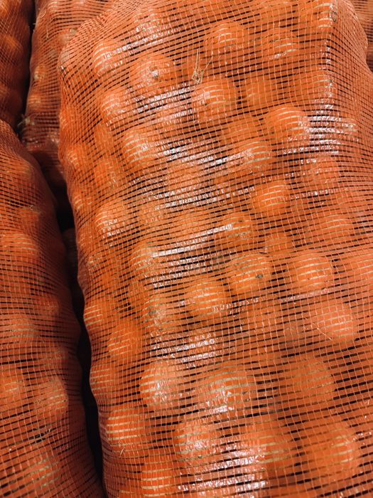 Картошка домашняя