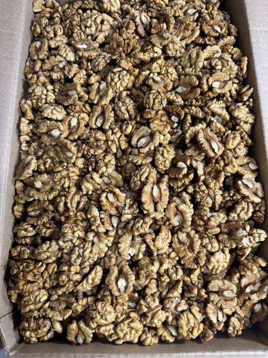 Грецкие орехи yong'oq yongoq