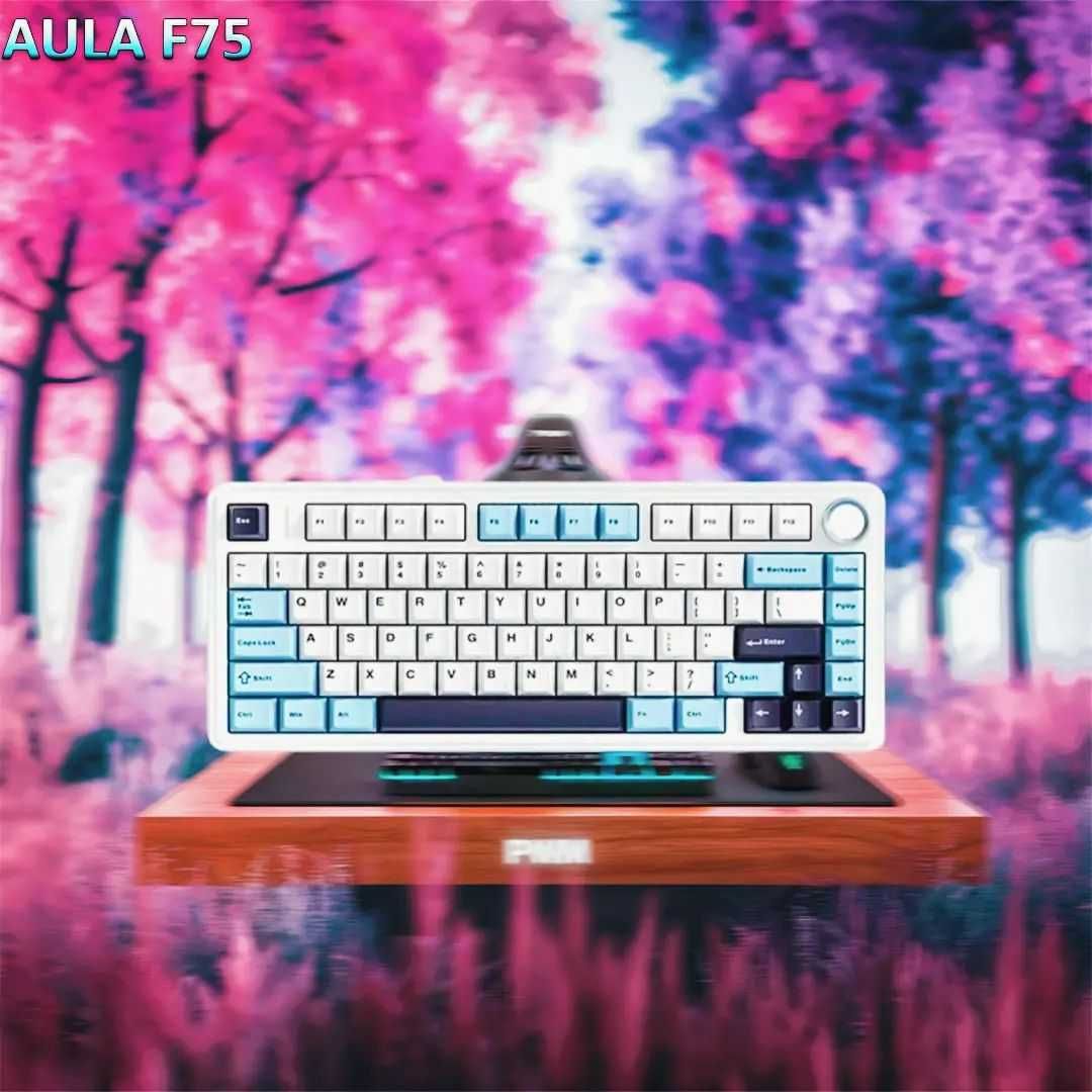 Aula F75 Игровая клавиатура!