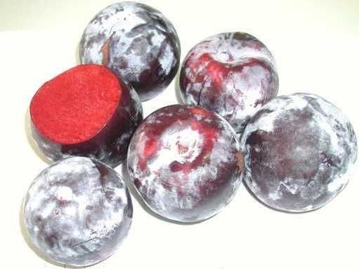 Слива  Черен Сплендор - BLACK SPLENDOR