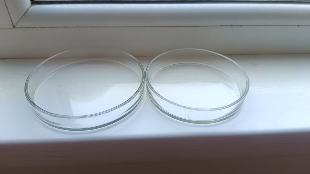 Продаются Чашка Петри