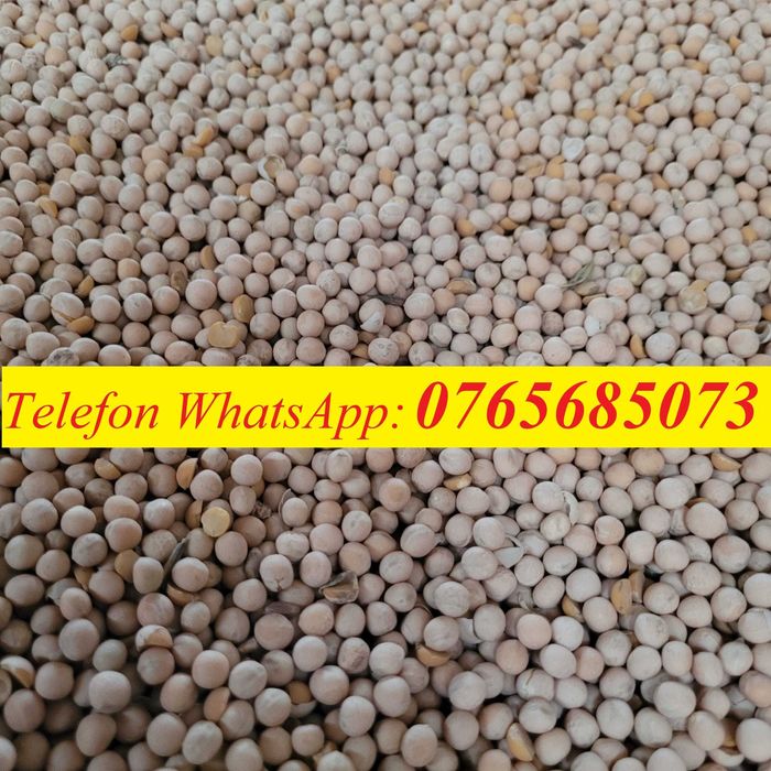 Mazare furajera de toamna.