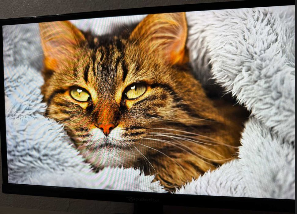 Монитор Packard Bell 21,5"