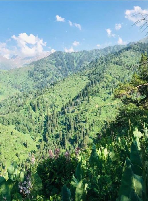 Ретрит в горах Алма-Арасан деревенском домике