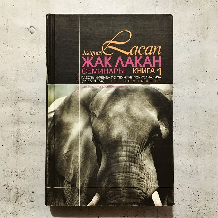 Семинары. Книга 1. Работы Фрейда по технике психоанализа (1953—1954)