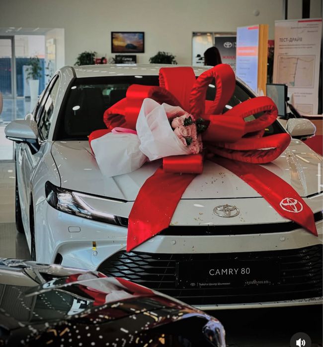 Бант на машину/Подарочный бантик акция/Тенты