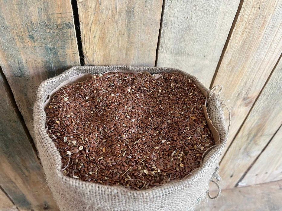 Semințe de in – 100% producție proprie GreenAgro