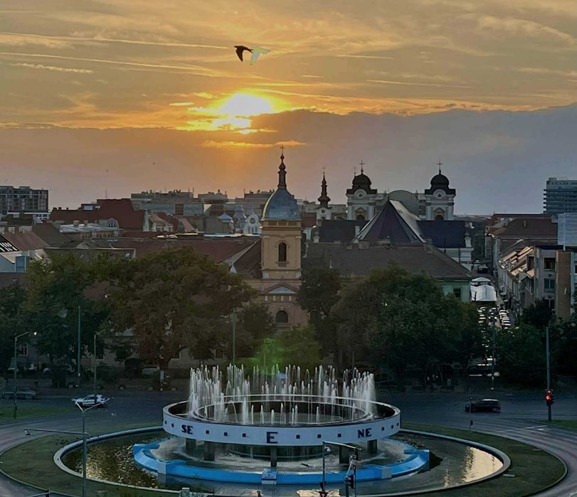 Apartament 2 camere, central, zona Medicină, Take Ionescu