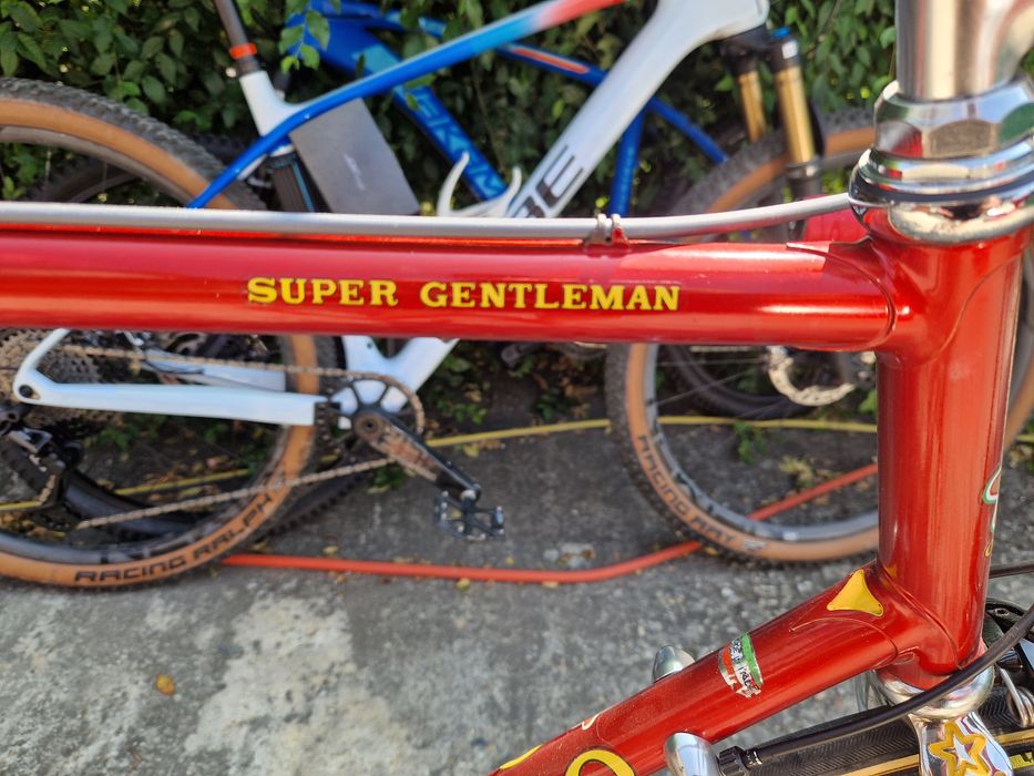 Cursiera Olmo Super Gentleman