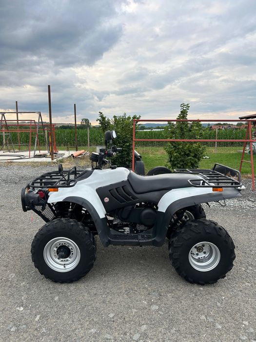 Linhai Explorer 300 2x4 (nu cf moto tgb shineray )
