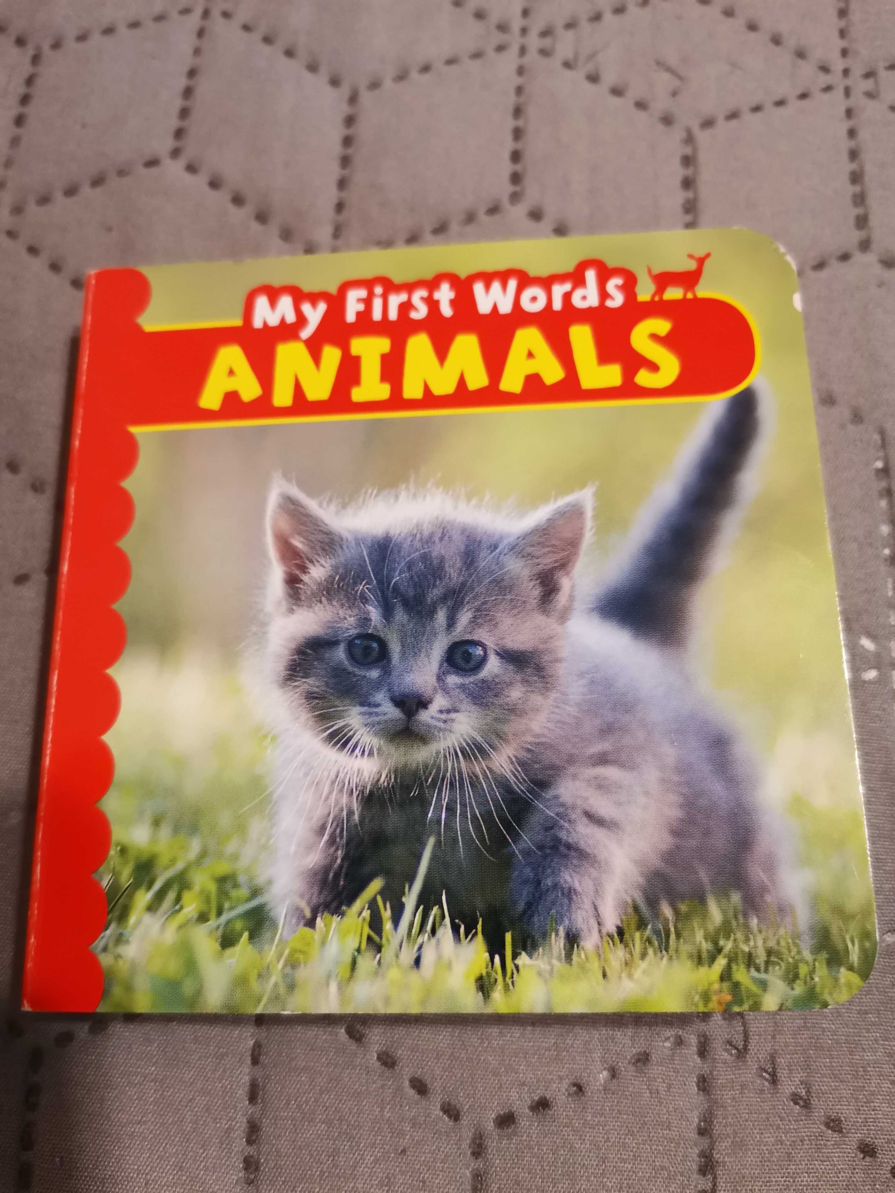 Carti pentru copii mici - My first Word animals și Cenușăreasa