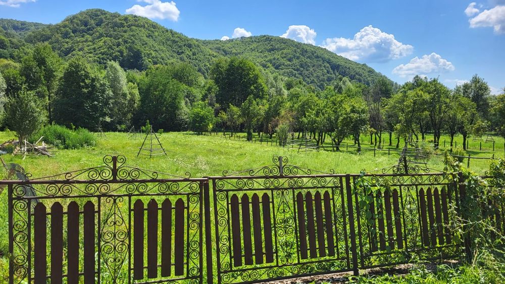 Terenuri de vanzare
