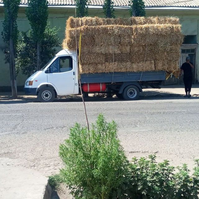 Fort gazli ford ford