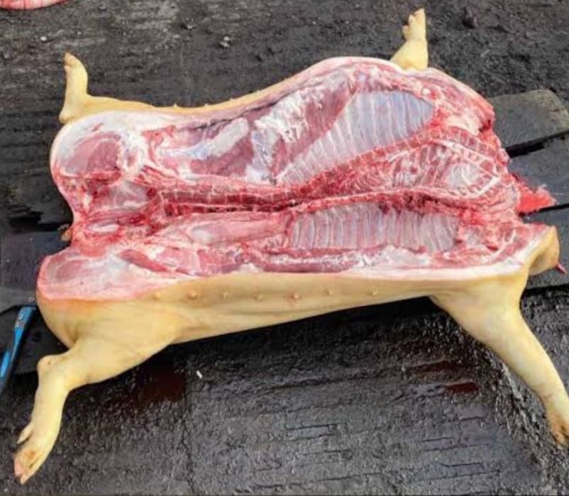 Продаю мясо свинины