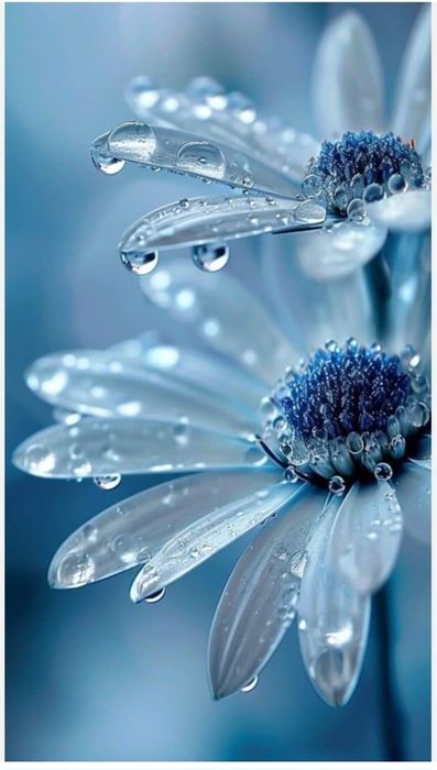 Расслабляющий массаж