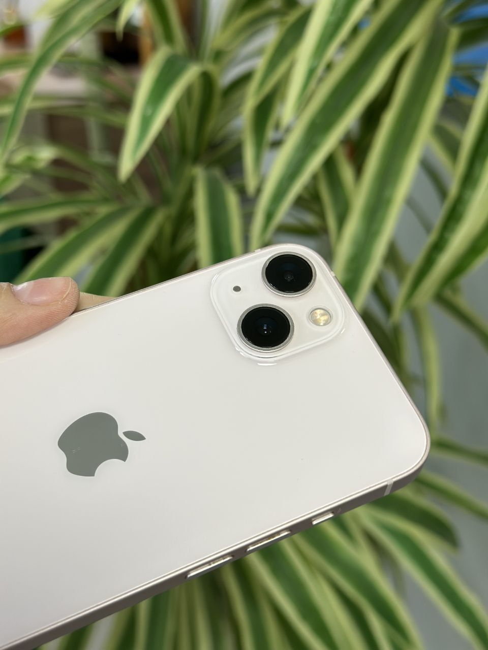 Iphone 13 /128gb