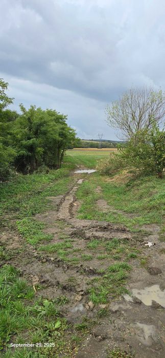 Teren extravilan 5,8 ha
