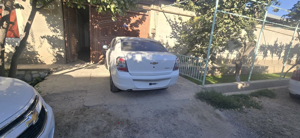 Kobalt Cobalt 2025 oq midnight