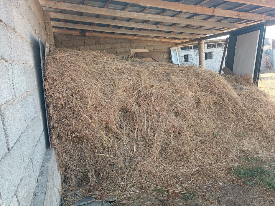 Шөп/сено  сатылады