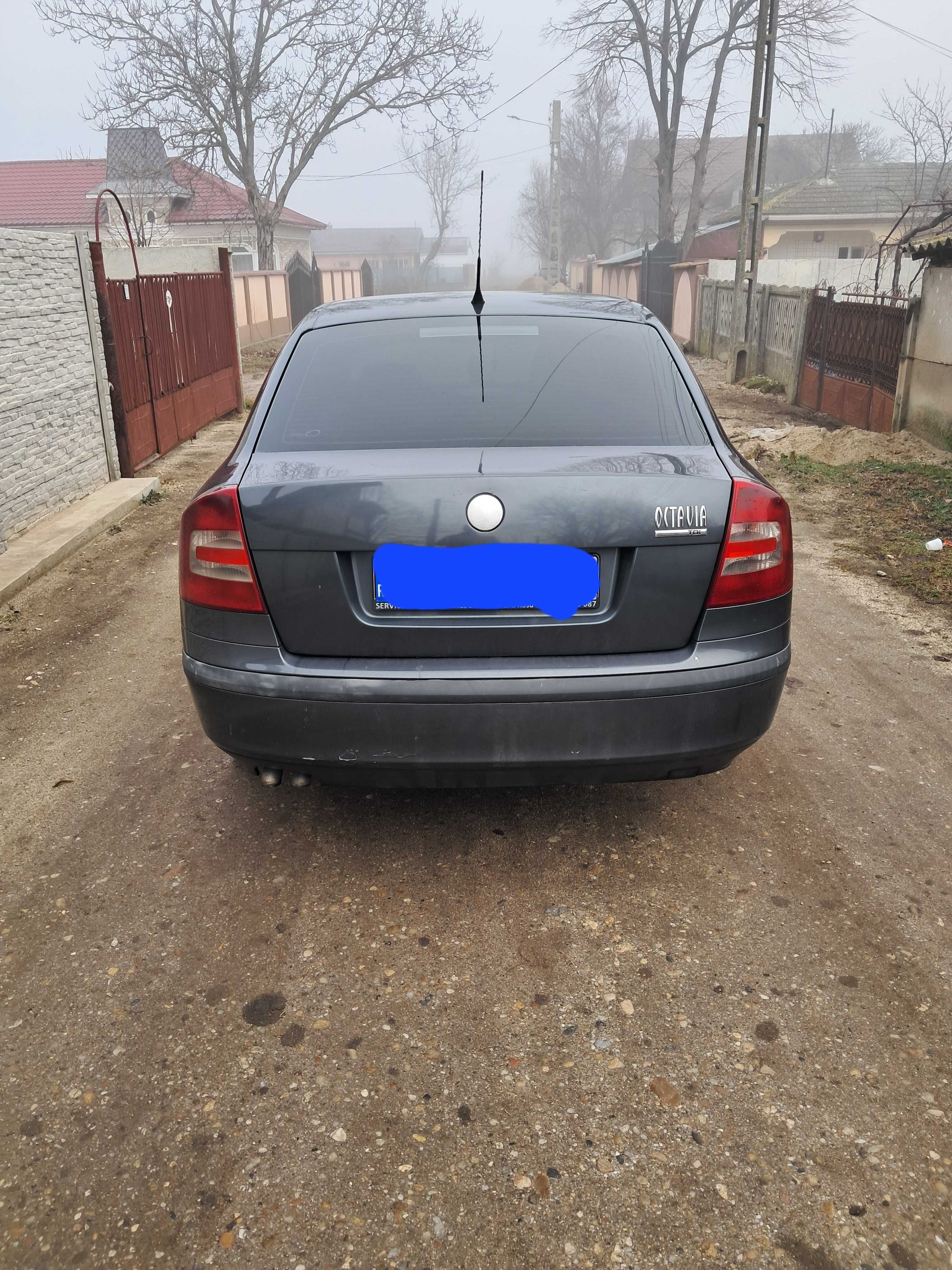 Vand Skoda Octavia