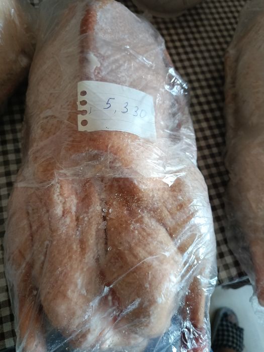 Гуси домашние "Линда"