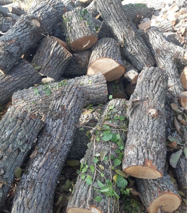 De vinzare lemne 300 lei metru