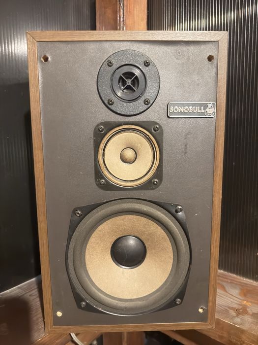 Boxe Magnat Sonobull