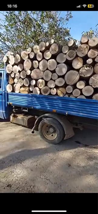 De vanzre lemne de esenta tare