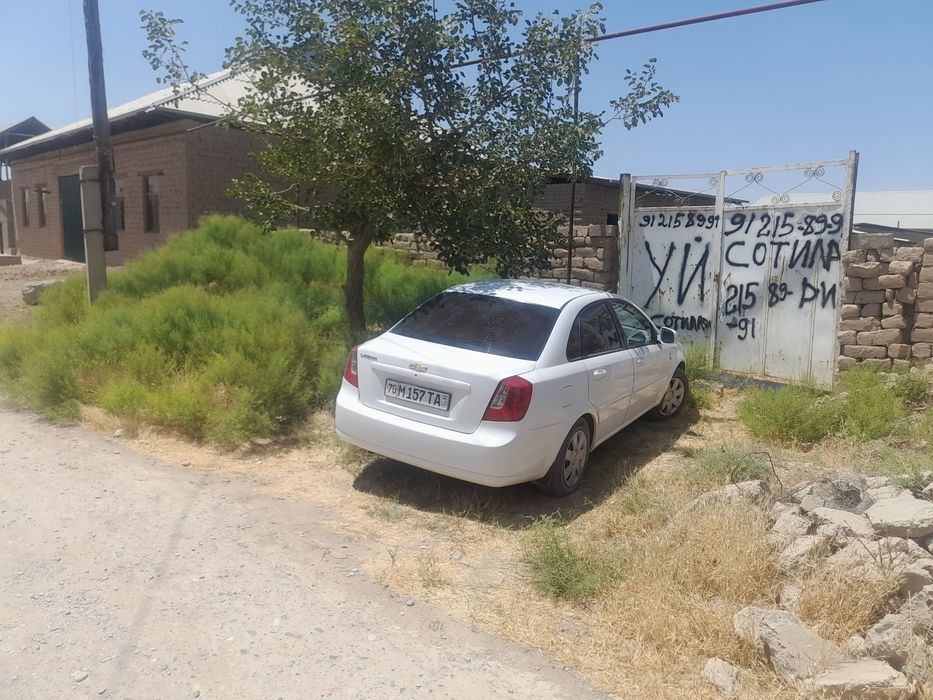 Shoyxuja gubdin 8sotix