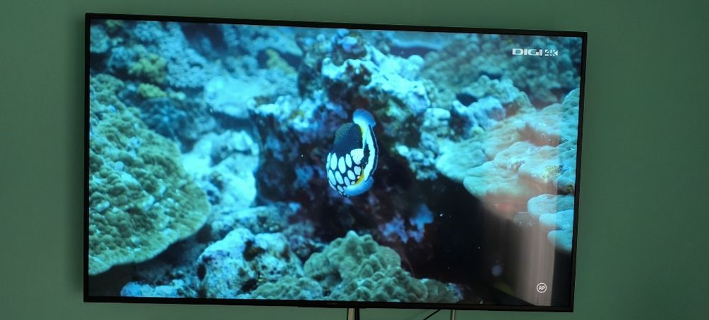 Soni Bravia 4K, 164 diagonală