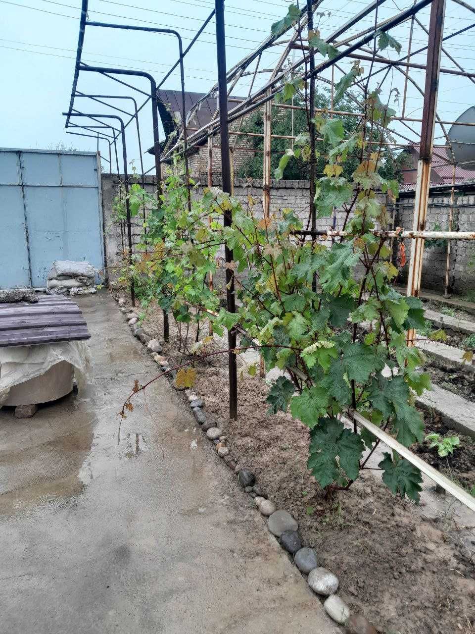 Yangi Toshkent yaqinida 6,33 sot er uchastkasi sotiladi