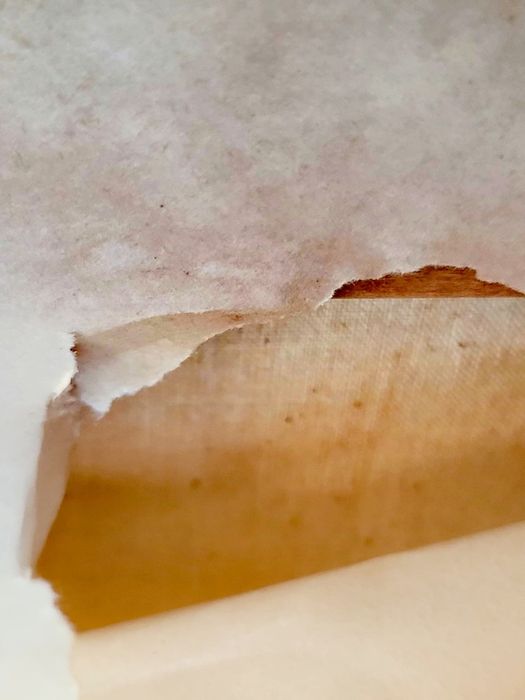 Tablou ,,Vântul schimbarii,, cuțit pe panza dim mare