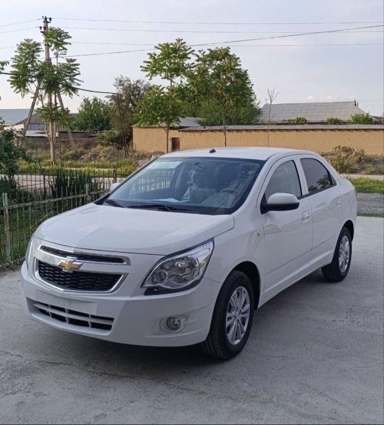 Cobalt LTZ 2025 STAYL