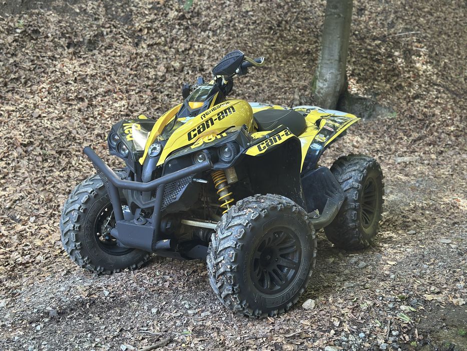 Can Am Renegade 2010 800cc Servo