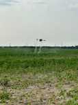 Prestez tratamente fitosanitare cu drona dji agras t50