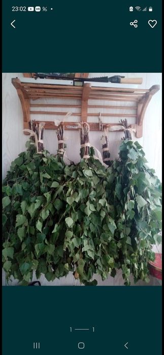 Веники берёзовые