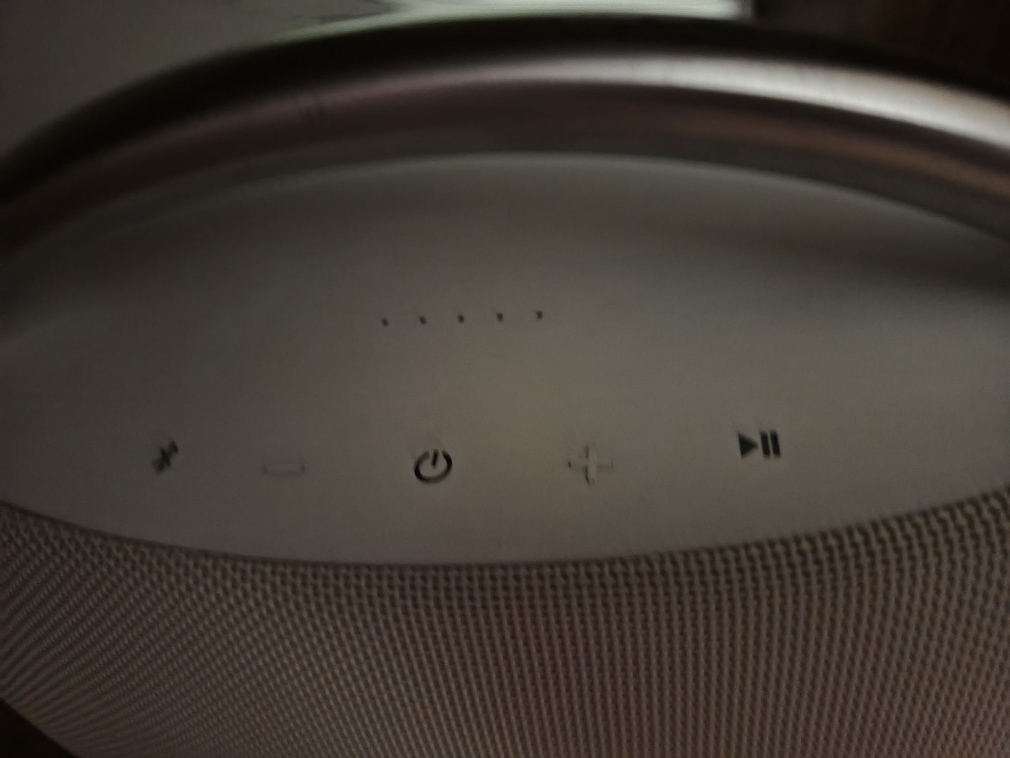Harman/Kardon Go + Play