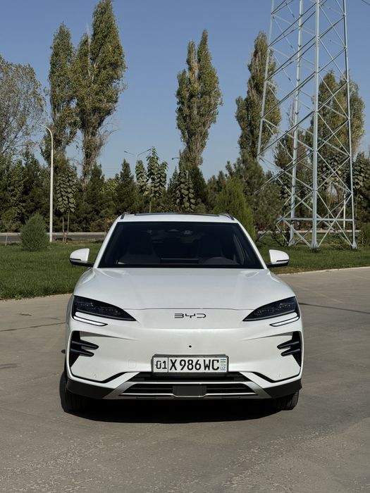 Byd Chempion Restailing 2024/25