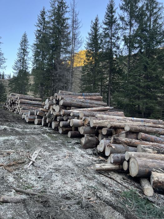 Cherestea si lemne de foc