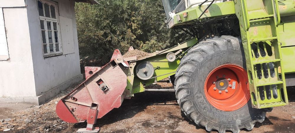 Padbor jatka sotiladi