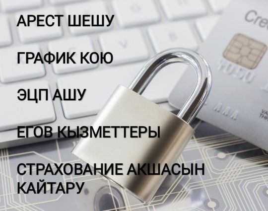 Арест шешу график кою снятие ареста со счетов