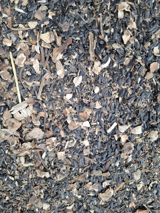 Слънчогледова отсевка дребна/едра