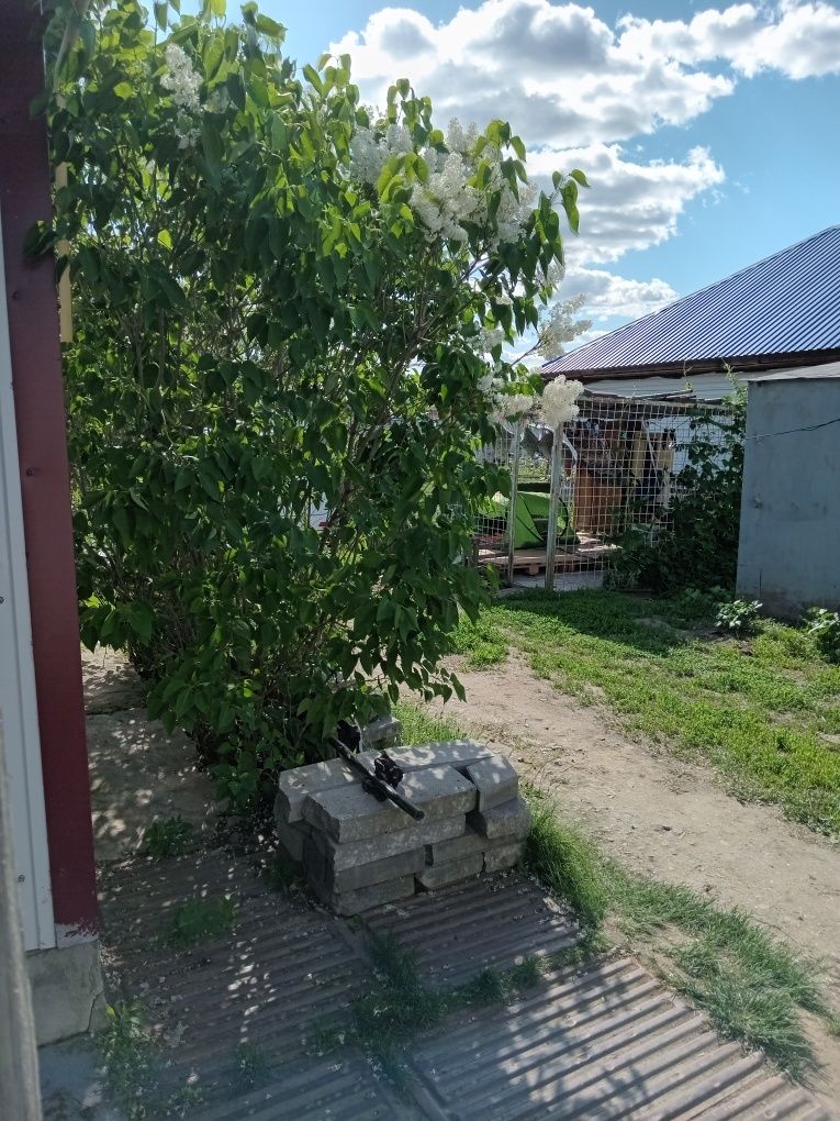 Дом в г Тобыл ( п Затобольск )