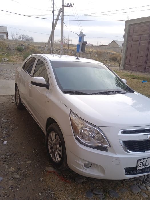 Arenda koblt yili 2023 kunlik 200 ming  tel