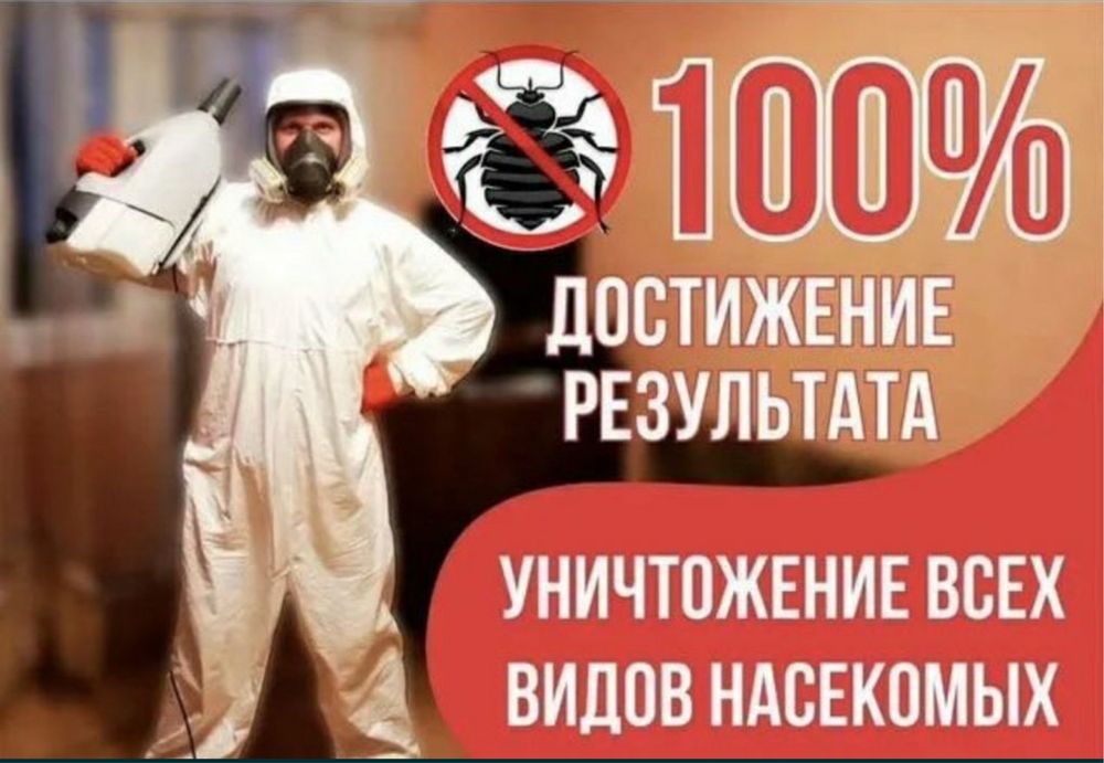 Угичтожение клопов, термитов и тараканов