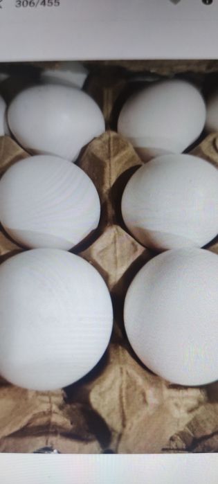 Яйца куриные свежие