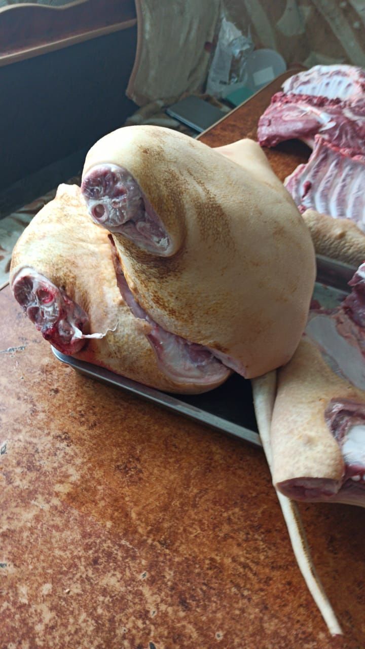 Продам мясо свинины
